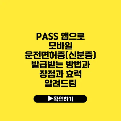 PASS 앱으로 모바일 운전면허증(신분증) 발급받는 방법과 장점과 효력 알려드림