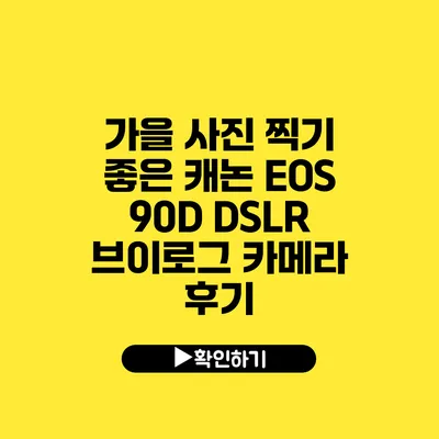 가을 사진 찍기 좋은 캐논 EOS 90D DSLR 브이로그 카메라 후기