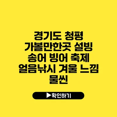 경기도 청평 가볼만한곳 설빙 송어 빙어 축제 얼음낚시 겨울 느낌 물씬