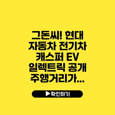 그돈씨!? 현대 자동차 전기차 캐스퍼 EV 일렉트릭 공개 주행거리가...
