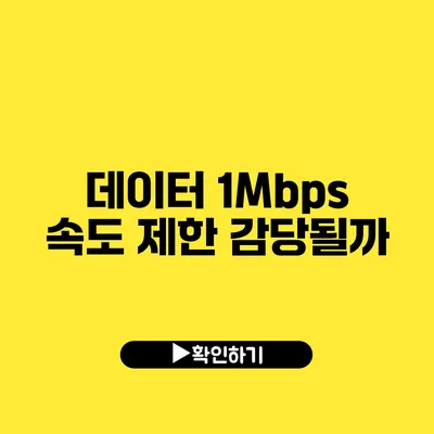 데이터 1Mbps 속도 제한 감당될까?