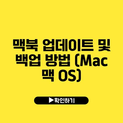 맥북 업데이트 및 백업 방법 (Mac 맥 OS)