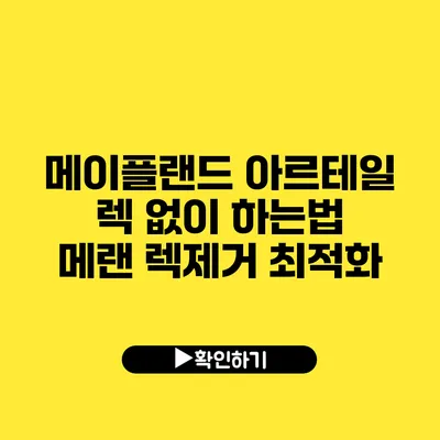 메이플랜드 아르테일 렉 없이 하는법 메랜 렉제거 최적화