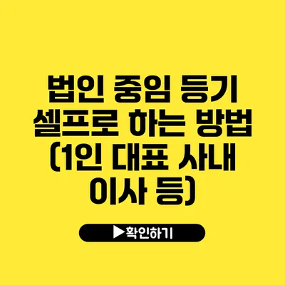 법인 중임 등기 셀프로 하는 방법 (1인 대표 사내 이사 등)