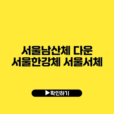 서울남산체 다운 서울한강체 서울서체