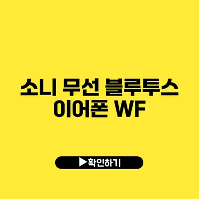 소니 무선 블루투스 이어폰 WF