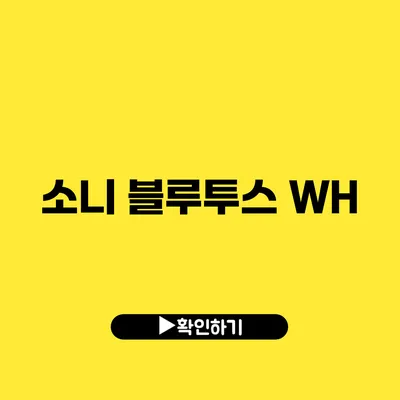 소니 블루투스 WH