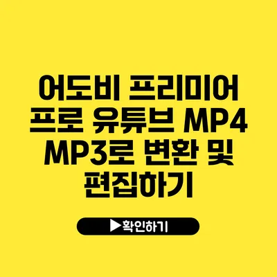 어도비 프리미어 프로 유튜브 MP4 MP3로 변환 및 편집하기