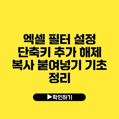 엑셀 필터 설정 단축키 추가 해제 복사 붙여넣기 기초 정리