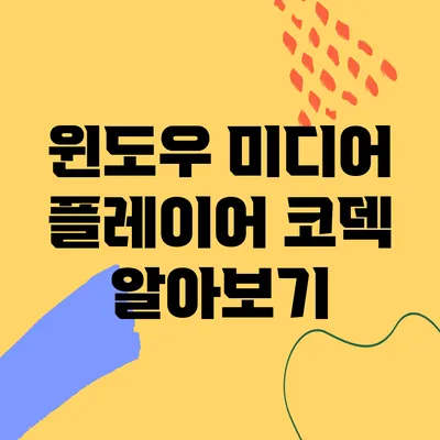 윈도우 미디어 플레이어 코덱 알아보기