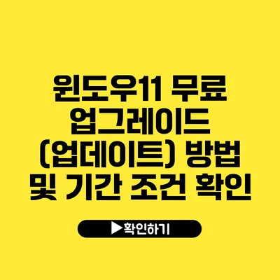 윈도우11 무료 업그레이드 (업데이트) 방법 및 기간 조건 확인