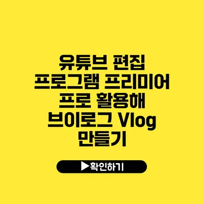 유튜브 편집 프로그램 프리미어 프로 활용해 브이로그 Vlog 만들기