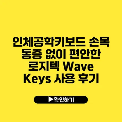 인체공학키보드 손목 통증 없이 편안한 로지텍 Wave Keys 사용 후기