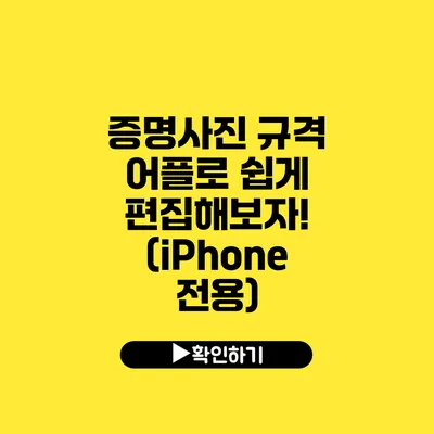 증명사진 규격 어플로 쉽게 편집해보자! (iPhone 전용)