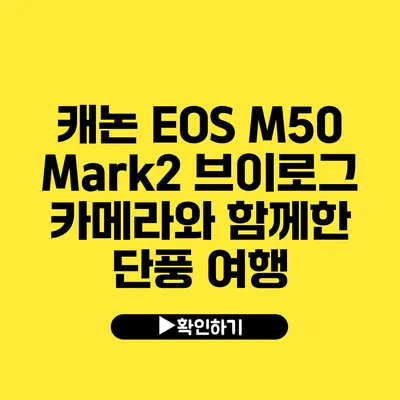 캐논 EOS M50 Mark2 브이로그 카메라와 함께한 단풍 여행