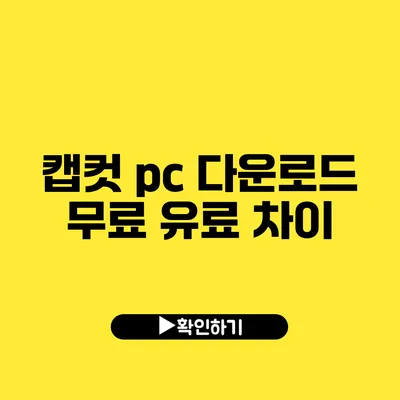 캡컷 pc 다운로드 무료 유료 차이