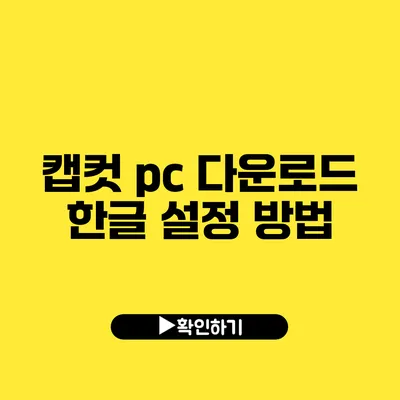 캡컷 pc 다운로드 한글 설정 방법