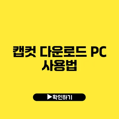 캡컷 다운로드 PC 사용법
