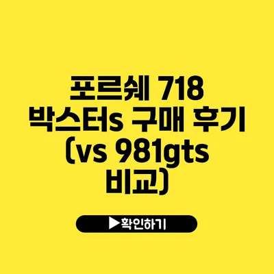 포르쉐 718 박스터s 구매 후기 (vs 981gts 비교)