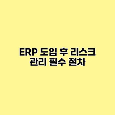 ERP 도입 후 리스크 관리 필수 절차