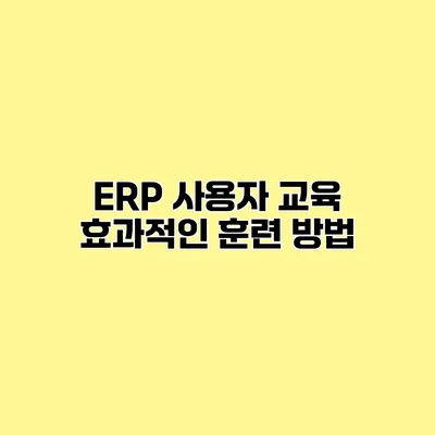 ERP 사용자 교육 효과적인 훈련 방법