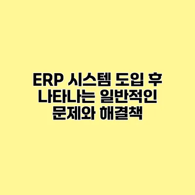 ERP 시스템 도입 후 나타나는 일반적인 문제와 해결책