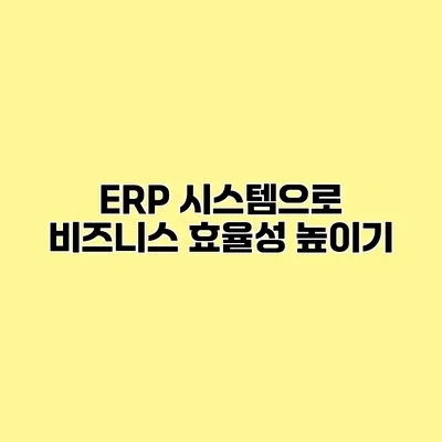 ERP 시스템으로 비즈니스 효율성 높이기