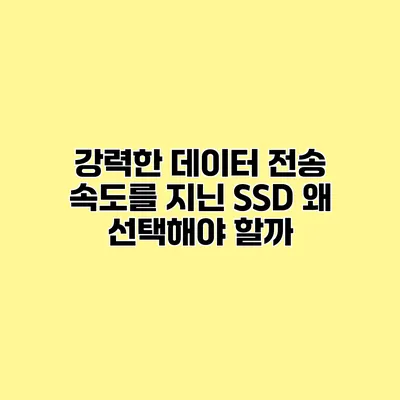 강력한 데이터 전송 속도를 지닌 SSD 왜 선택해야 할까?