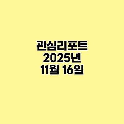 관심리포트 2025년 11월 16일