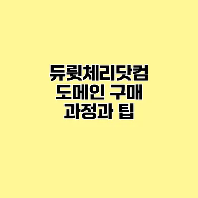 듀륏체리닷컴 도메인 구매 과정과 팁