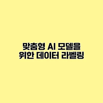 맞춤형 AI 모델을 위한 데이터 라벨링