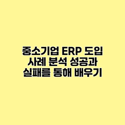 중소기업 ERP 도입 사례 분석 성공과 실패를 통해 배우기