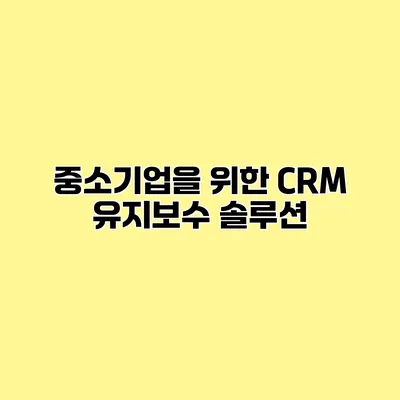 중소기업을 위한 CRM 유지보수 솔루션