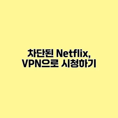 차단된 Netflix, VPN으로 시청하기